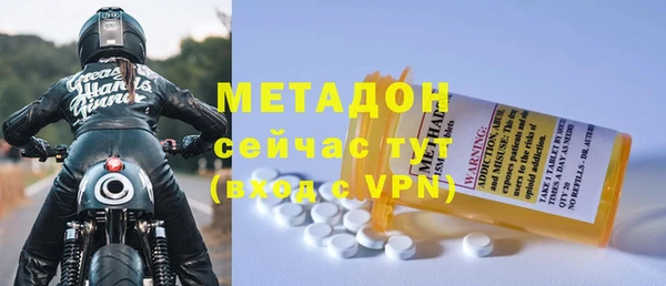 прущие грибы Верхний Тагил