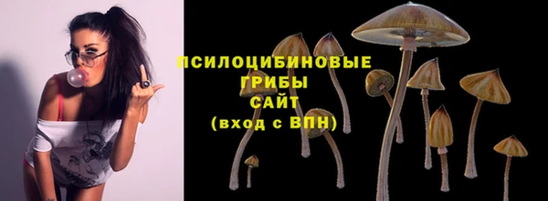 ешки Верея