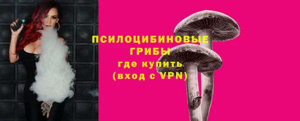 прущие грибы Верхний Тагил