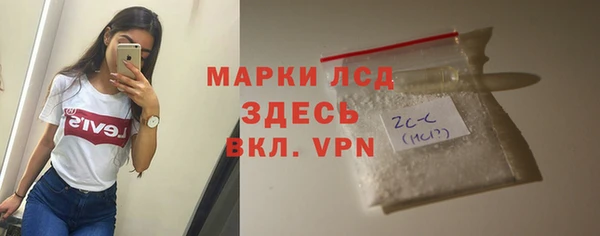 прущие грибы Верхний Тагил