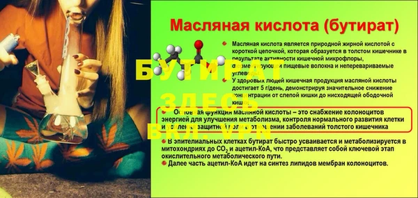 прущие грибы Верхний Тагил
