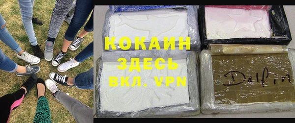 прущие грибы Верхний Тагил