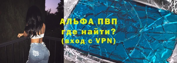 прущие грибы Верхний Тагил
