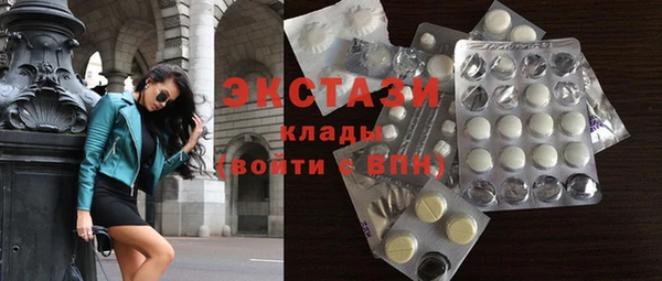 прущие грибы Верхний Тагил