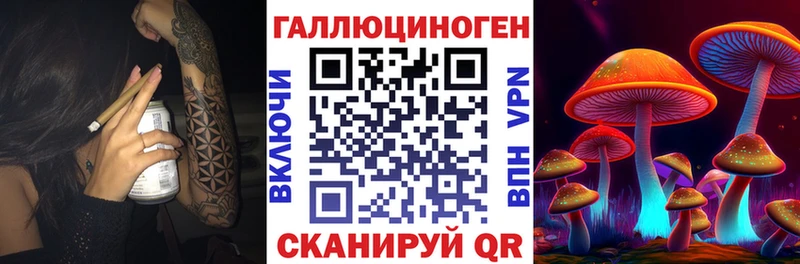 Галлюциногенные грибы Psilocybine cubensis  Новоржев 